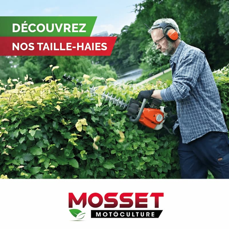 actu taille haies mosset