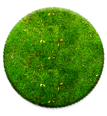 Green_Mosset_Catalogue