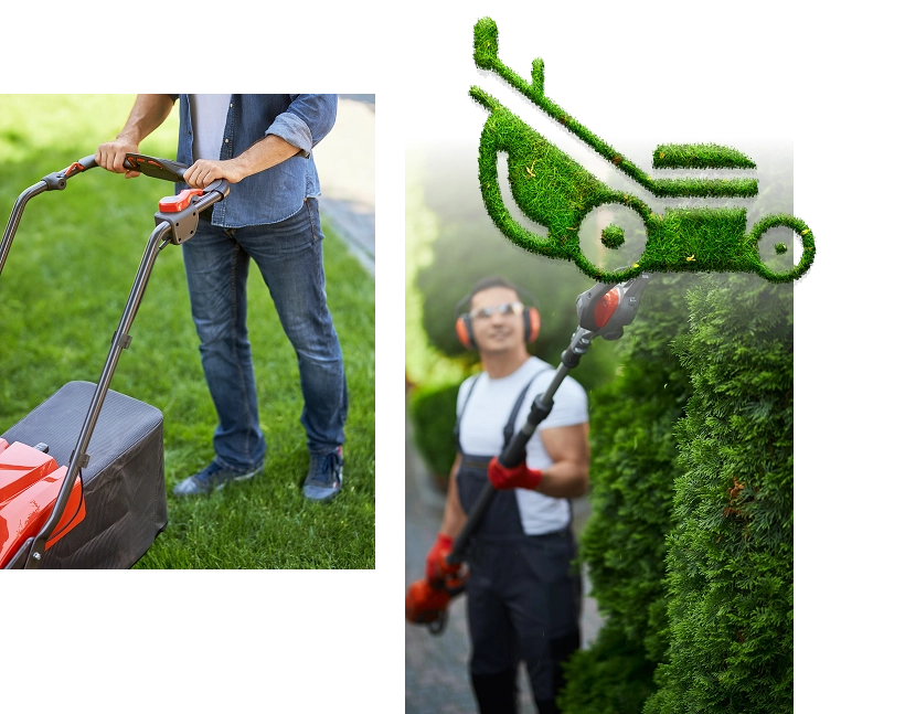 MR JARDINAGE – Matériel fiable pour particulier MR JARDINAGE - Matériel fiable pour particulier